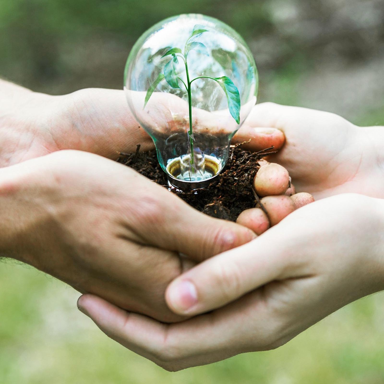 Risparmia sulle bollette di luce e gas e contribuisci a salvare il pianeta, grazie ai consigli di Vetrina Consulenti